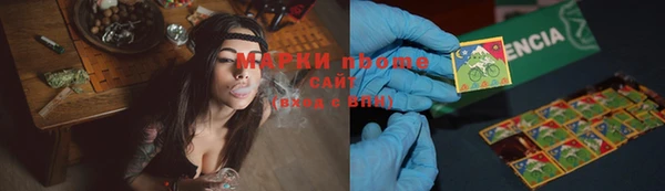 СК Алексин