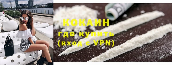 СК Алексин