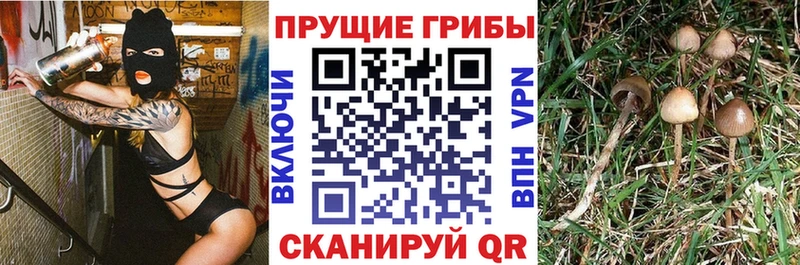Псилоцибиновые грибы прущие грибы  KRAKEN рабочий сайт  Зарайск 